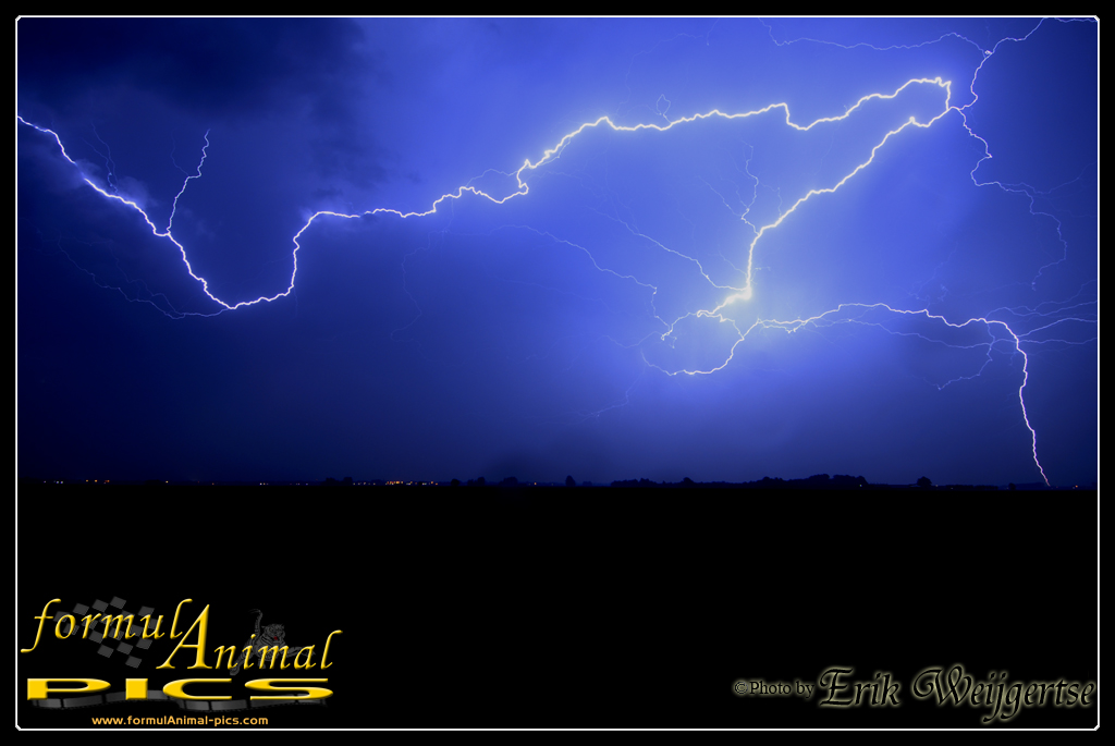 1002x662 pixels (303K)